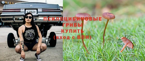mdpv Приозерск
